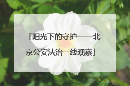 阳光下的守护——北京公安法治一线观察