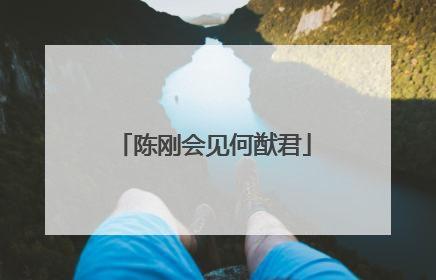 陈刚会见何猷君