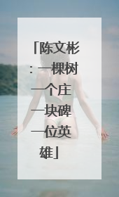 陈文彬：一棵树 一个庄 一块碑 一位英雄