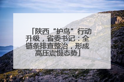 陕西“护鸟”行动升级，省委书记：全链条排查整治，形成高压震慑态势