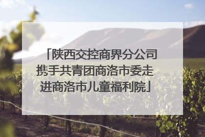 陕西交控商界分公司携手共青团商洛市委走进商洛市儿童福利院