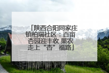 陕西合阳同家庄镇柏瑞社区：百亩杏园迎丰收 果农走上“杏”福路