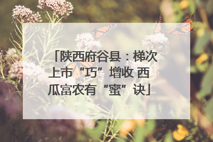 陕西府谷县：梯次上市“巧”增收 西瓜富农有“蜜”诀