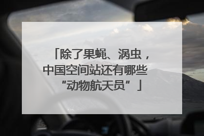 除了果蝇、涡虫，中国空间站还有哪些“动物航天员”