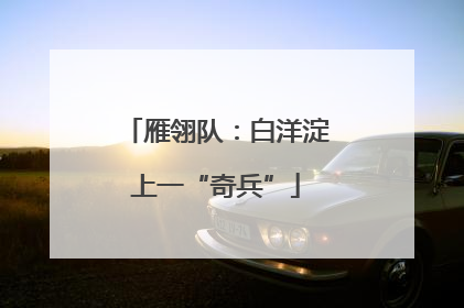 雁翎队：白洋淀上一“奇兵”