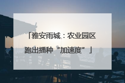 雅安雨城：农业园区跑出播种“加速度”