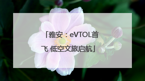 雅安：eVTOL首飞 低空文旅启航
