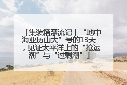 集装箱漂流记丨“地中海亚历山大”号的13天，见证太平洋上的“抢运潮”与“过剩潮”