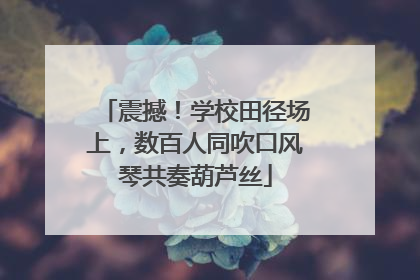 震撼！学校田径场上，数百人同吹口风琴共奏葫芦丝