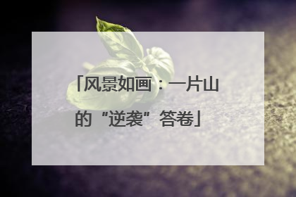 风景如画：一片山的“逆袭”答卷