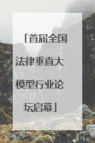 首届全国法律垂直大模型行业论坛启幕