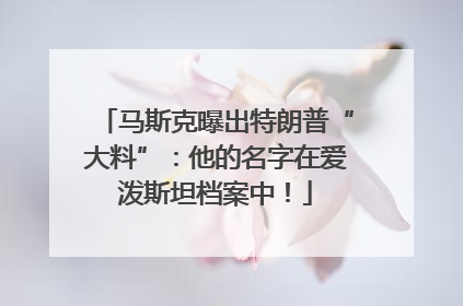 马斯克曝出特朗普“大料”：他的名字在爱泼斯坦档案中！