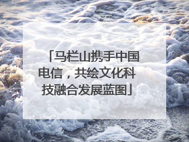 马栏山携手中国电信，共绘文化科技融合发展蓝图