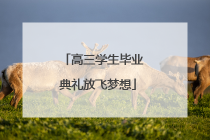 高三学生毕业典礼放飞梦想