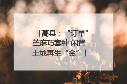 高县：“订单”苎麻巧套种 闲置土地再生“金”