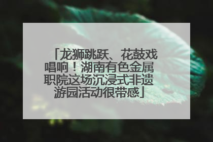 龙狮跳跃、花鼓戏唱响！湖南有色金属职院这场沉浸式非遗游园活动很带感