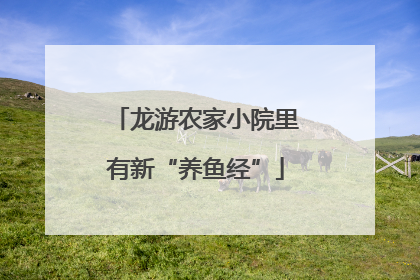 龙游农家小院里有新“养鱼经”