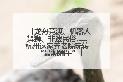 龙舟竞渡、机器人舞狮、非遗民俗……杭州这家养老院玩转“最潮端午”