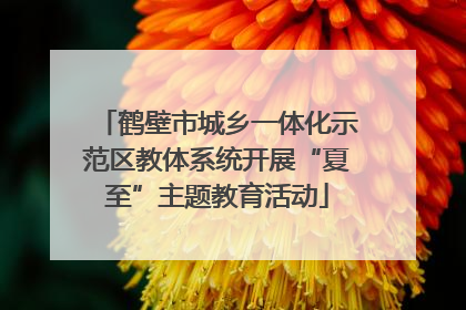 鹤壁市城乡一体化示范区教体系统开展“夏至”主题教育活动