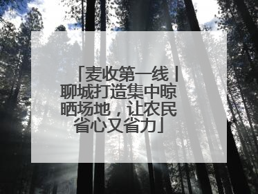 麦收第一线丨聊城打造集中晾晒场地，让农民省心又省力