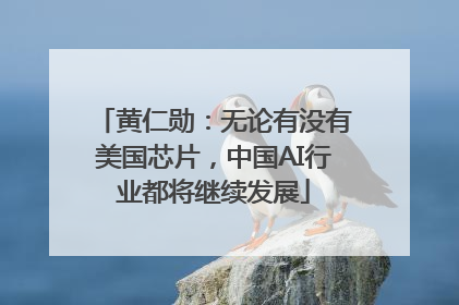 黄仁勋：无论有没有美国芯片，中国AI行业都将继续发展