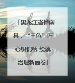 黑龙江省桦南县：“三色”匠心织锦绣 绘就治理新画卷