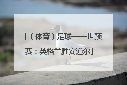 （体育）足球——世预赛：英格兰胜安道尔