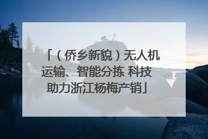（侨乡新貌）无人机运输、智能分拣 科技助力浙江杨梅产销