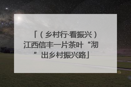 （乡村行·看振兴）江西信丰一片茶叶“沏”出乡村振兴路