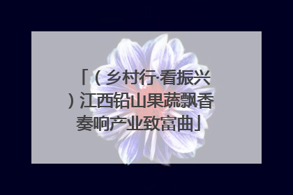 （乡村行·看振兴）江西铅山果蔬飘香 奏响产业致富曲