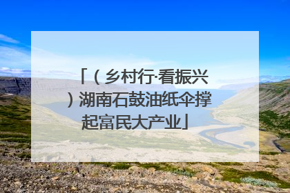 （乡村行·看振兴）湖南石鼓油纸伞撑起富民大产业