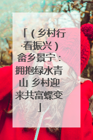 （乡村行·看振兴）畲乡景宁：拥抱绿水青山 乡村迎来共富蝶变