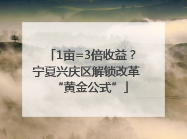 1亩=3倍收益？宁夏兴庆区解锁改革“黄金公式”