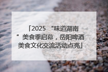 2025 “味道湖南”美食季启幕，岳阳啤酒美食文化交流活动点亮