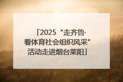 2025“走齐鲁·看体育社会组织风采”活动走进烟台莱阳