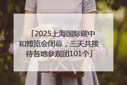 2025上海国际碳中和博览会闭幕，三天共接待各地参观团101个