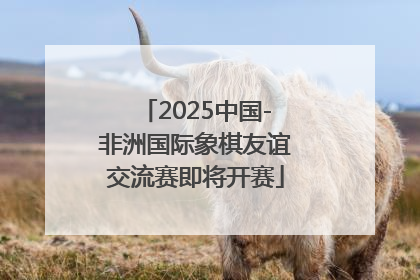2025中国-非洲国际象棋友谊交流赛即将开赛