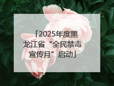 2025年度黑龙江省“全民禁毒宣传月”启动