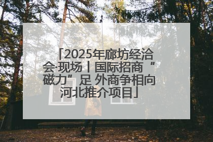 2025年廊坊经洽会·现场丨国际招商“磁力”足 外商争相向河北推介项目