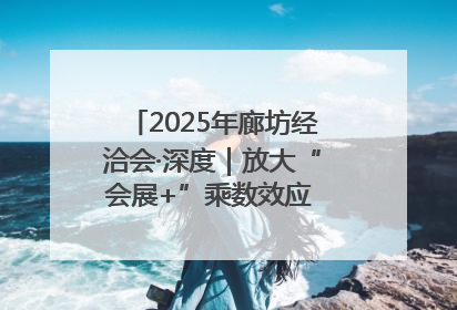 2025年廊坊经洽会·深度｜放大“会展+”乘数效应 打造消费新场景