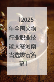 2025年全国文物行业职业技能大赛河南省选拔赛落幕