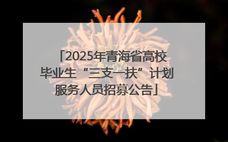 2025年青海省高校毕业生“三支一扶”计划服务人员招募公告