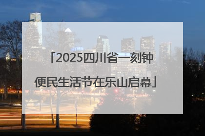 2025四川省一刻钟便民生活节在乐山启幕