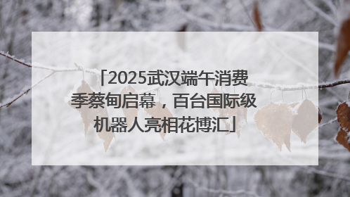 2025武汉端午消费季蔡甸启幕，百台国际级机器人亮相花博汇