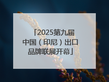 2025第九届中国（印尼）出口品牌联展开幕