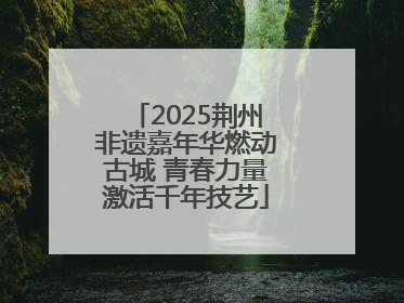 2025荆州非遗嘉年华燃动古城 青春力量激活千年技艺