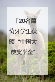 20名葡萄牙学生获颁“中国大使奖学金”