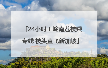 24小时！岭南荔枝乘专线 枝头直飞新加坡