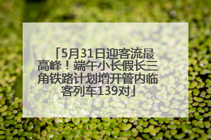 5月31日迎客流最高峰！端午小长假长三角铁路计划增开管内临客列车139对