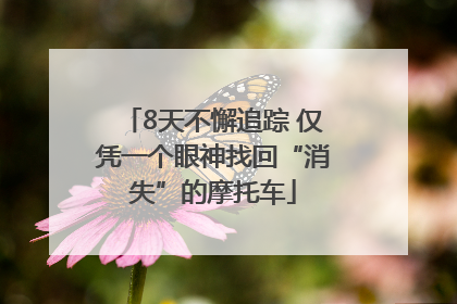 8天不懈追踪 仅凭一个眼神找回“消失”的摩托车